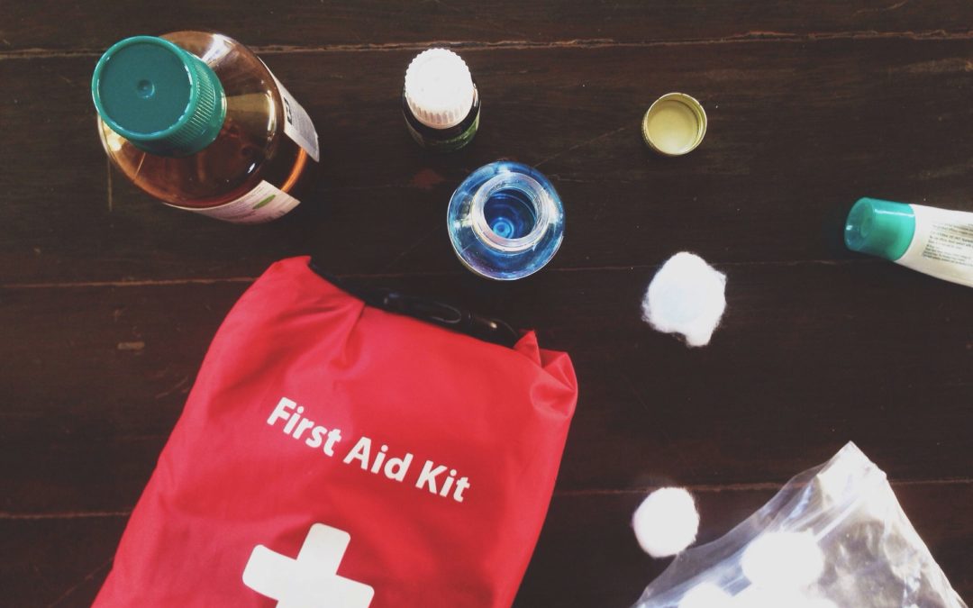 Essential Care on the Go: Building a First Aid Kit for Your Pet